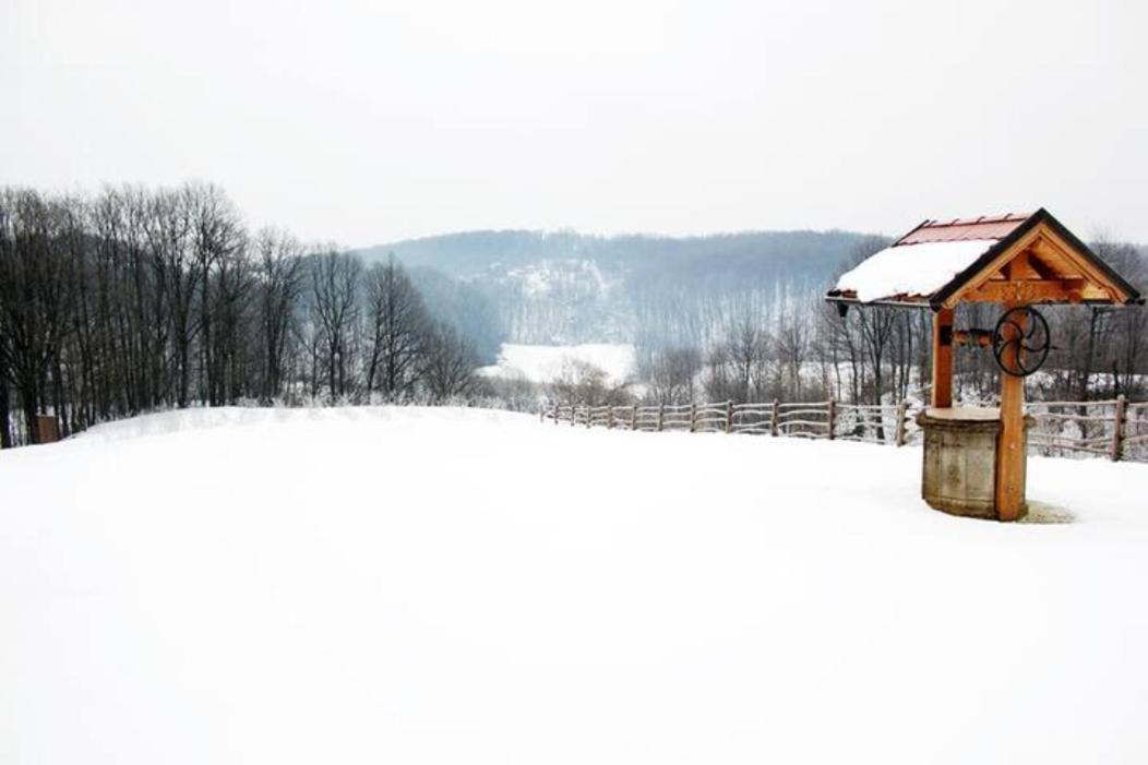 Traditional Croatian - Nature Therapy Vikendica