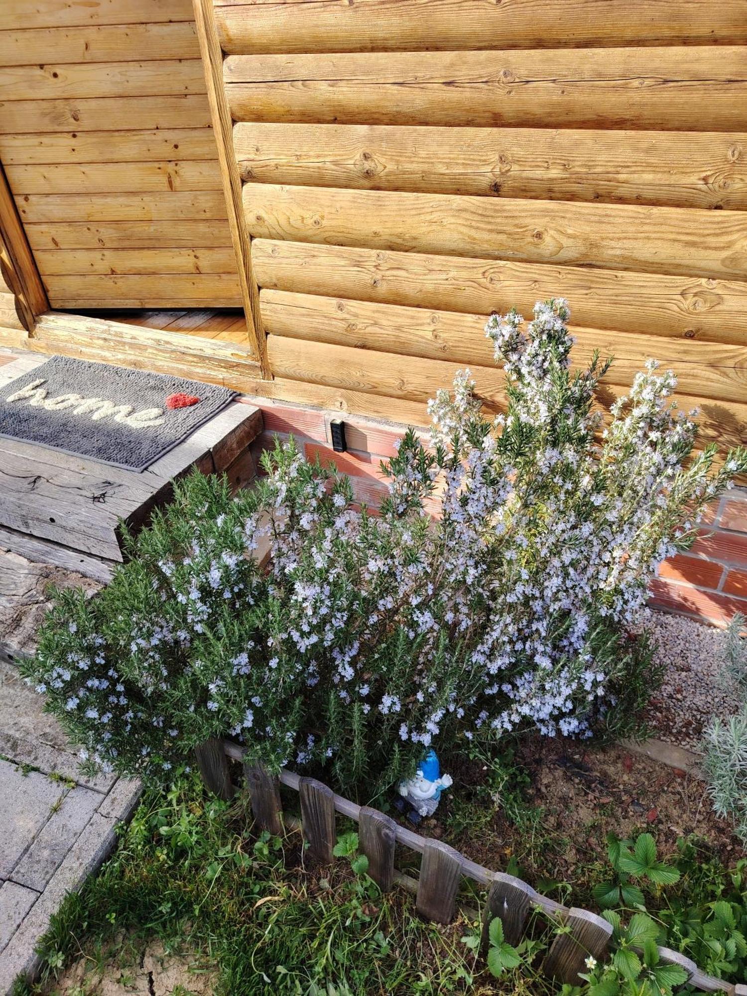 Traditional Croatian - Nature Therapy * Vukomeric