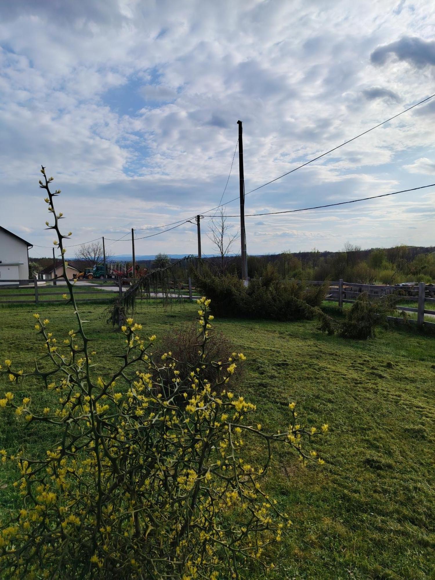 Holiday home Traditional Croatian - Nature Therapy *