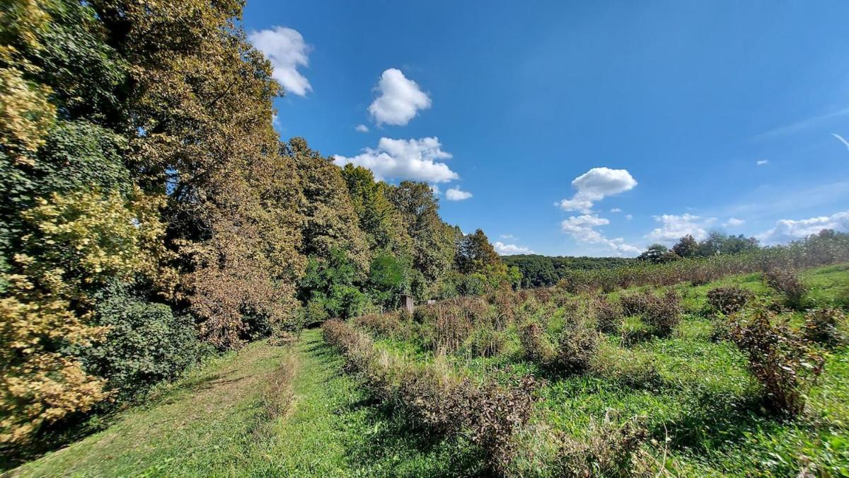 Traditional Croatian - Nature Therapy Vikendica *